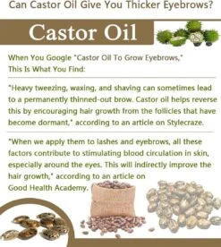 Your Beauty Tree ® Wimper Serum Met Echte Castor Olie |100% Natuurlijke Wimpergroei| Castor Oil Eyelash Serum|Wonder Olie | Wimper Groei | Wenkbrauw Serum | Lash Serum | Wimper Groeimiddel -Cosmetica Korting Winkel 1075x1200 4