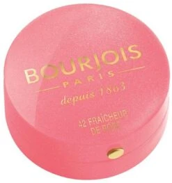 Bourjois Little Round Pot Blush - 33 Lilas D'Or -Cosmetica Korting Winkel 1129x1200 4