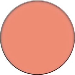 L’Oréal Paris True Match - 160 Pêche - Blush -Cosmetica Korting Winkel 1199x1200 9