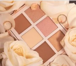 Beauty Creations Floral Bloom Highlight & Contour Palette -Cosmetica Korting Winkel 1200x1056 2