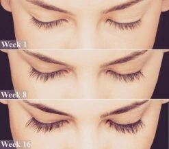 Lanthome Wimperserum - Met Castor Olie -Cosmetica Korting Winkel 1200x1056 3