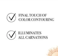 Bourjois Le Petit Strober Highlighter - 00 Universal Glow 23 Bourjois Le Petit Strober Highlighter - 00 Universal Glow -Cosmetica Korting Winkel 1200x1164 21