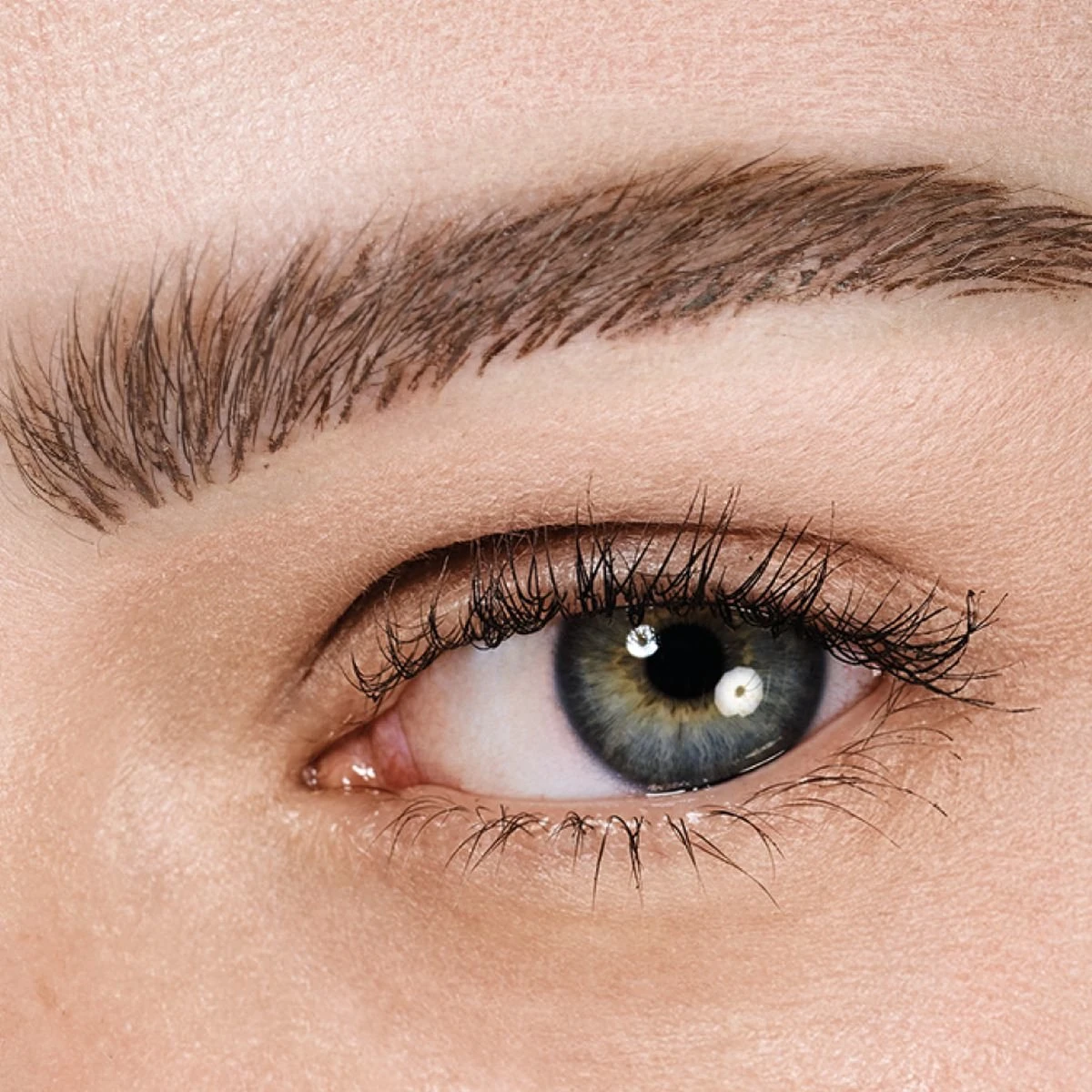 Maybelline TattooBrow 1D Wenkbrauwpen - 120 Medium 7 Maybelline TattooBrow 1D Wenkbrauwpen - 120 Medium - Afbeelding 5