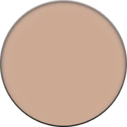 L’Oréal Paris True Match Foundation - W6 Honey - Poeder -Cosmetica Korting Winkel 1200x1200 246