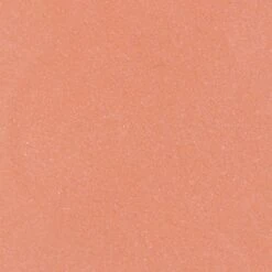 Blèzi® Lip Fix 10 Blissful Pink - Lipstick - Lippenstift Langhoudend - Roze Perzik -Cosmetica Korting Winkel 1200x1200 625