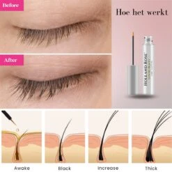 Holland Rose® Luxury Beauty - Wimperserum - Cadeau - Wimper Groeimiddel - Lange En Volle Wimpers - Dikke Wimpers - Wimperserum - Wimper Lifting - 7ml -Cosmetica Korting Winkel 1200x1200 967