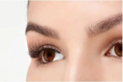 Ardell - Nepwimpers Multipack - Zwart - 5 Sets 13 Ardell - Nepwimpers Multipack - Zwart - 5 Sets -Cosmetica Korting Winkel 1200x802 6