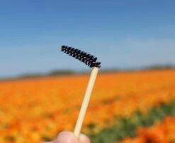 Natural Shaper Brow Soap Met Bamboo Brush – Browsoap - Wenkbrauwgel Met Langdurig Effect – Veilig En Natuurlijk – Brow Shaping - Wenkbrauw Soap -Cosmetica Korting Winkel 1200x984 2